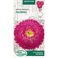 Семена - Астра Малинка, принцесса, 0,25 г.