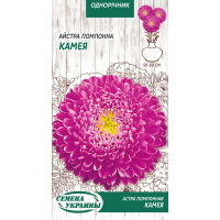 Семена - Астра Камея, помпонная, 0.25 г.