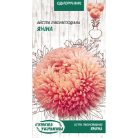 Насіння - Айстра Яніна, півонієподібна, 0,25 г.