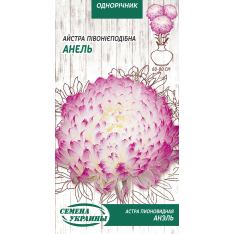 Семена - Астра Анєль, пионовидная, 0,25 г. Семена - Астра Анєль, пионовидная, 0,25 г.