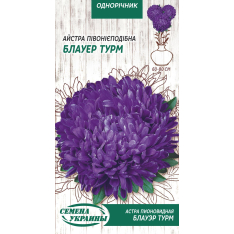 Семена - Астра Блауэр Турм, пионовидная, 0,25 г. Семена - Астра Блауэр Турм, пионовидная, 0,25 г.