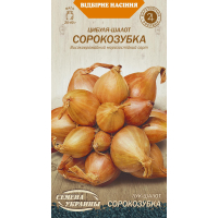 Семена - Лук шалот Сорокозубка 0,25 г.