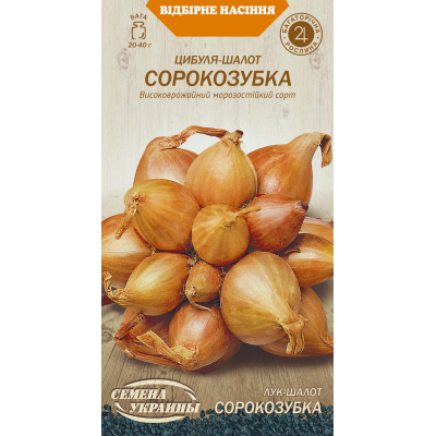 Семена - Лук шалот Сорокозубка 0,25 г.