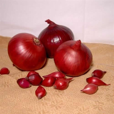 Семена - Лук репчатый Рэд барон, 1 г.