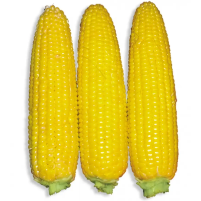 Насіння - Кукурудза Добриня F1, Lark Seeds (США), 15 шт.