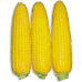 Насіння - Кукурудза Добриня F1, Lark Seeds (США), 15 шт.