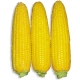 Семена - Кукуруза Добрыня F1, Lark Seeds (США), 15 шт.