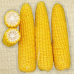 Насіння - Кукурудза Добриня F1, Lark Seeds (США), 15 шт.