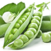 Семена - Горох Преладо, Syngenta (Голландия), 20 шт.