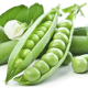 Насіння - Горох Преладо, Syngenta (Голландія), 20 шт.