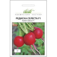 Насіння - Редиска Селеста F1, Enza Zaden (Нідерланди), 2 г.