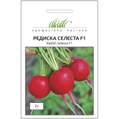Семена - Редис Селеста F1, Enza Zaden (Нидерланды), 2 г. Семена - Редис Селеста F1, Enza Zaden (Нидерланды), 2 г.
