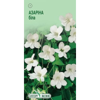 Насіння - Азаріна Біла, 10 шт.