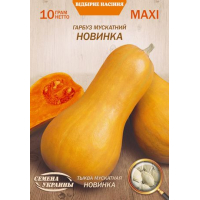 Насіння - Економ пак. - Гарбуз Новинка, мускатна, 10 г.