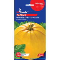 Насіння - Гарбуз Паризький золотий, 5 шт. Насіння - Гарбуз Паризький золотий, 5 шт.