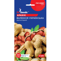Насіння - Арахіс Валенсія українська, 5 шт.