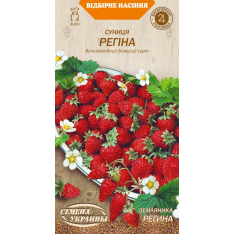 Насіння - Суниця Регіна, ремонтантна, 0,1 г. Насіння - Суниця Регіна, ремонтантна, 0,1 г.