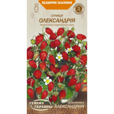 Насіння - Суниця Олександрія, ремонтантна, 0,1 г. Насіння - Суниця Олександрія, ремонтантна, 0,1 г.