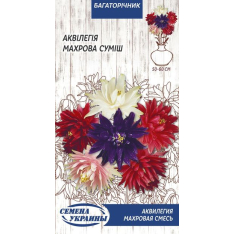 Семена - Аквилегия Махровая, смесь, 0,1 г. Семена - Аквилегия Махровая, смесь, 0,1 г.