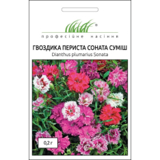 Насіння - Гвоздика периста Соната, суміш, Hem Zaden (Нідерланди), 0,2 г. Насіння - Гвоздика периста Соната, суміш, Hem Zaden (Нідерланди), 0,2 г.