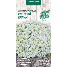 Семена -  Алиссум Снежный ковер, 0,2 г.