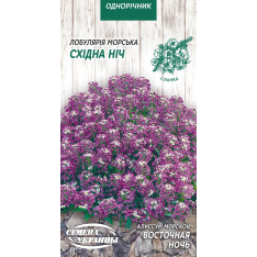 Семена - Алиссум Восточная ночь, 0,1 г.