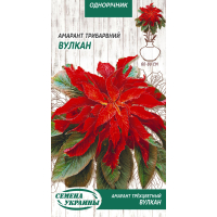 Семена - Амарант трехцветный Вулкан, 0,1 г.