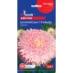 Семена - Астра Шанхайская роза, махровая, 0,3 г.