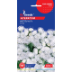 Семена - Агератум Нептун F1, белый, 0,15 г.
