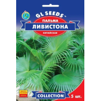 Семена - Пальма Ливистона, китайская // 5 шт.