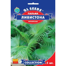 Семена - Пальма Ливистона, китайская // 5 шт. Семена - Пальма Ливистона, китайская // 5 шт.