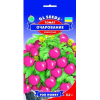 Семена - Томат Очарование, 0,2 г.