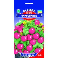 Семена - Томат Очарование, 0,2 г.