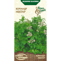 Насіння - Коріандр Нектар, 3 г.