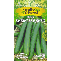 Насіння - Огірок Китайське диво, 0,5 г. ЧО