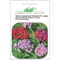 Семена - Пентас Старла F1, ланцетный, Benary (Германия), 10 шт.
