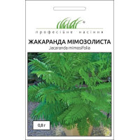 Насіння - Жакаранда мімозолиста, Hem Zaden (Нідерланди), 0,8 г.