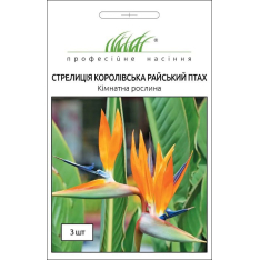 Насіння - Стреліція Райський птах, королівська, Hem Zaden (Н... Насіння - Стреліція Райський птах, королівська, Hem Zaden (Н...