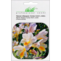 Насіння - Фрезія Супер гігант, суміш, Hem Zaden (Нідерланди), 0,3 г. Насіння - Фрезія Супер гігант, суміш, Hem Zaden (Нідерланди), 0,3 г.
