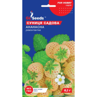 Насіння - Суниця Ананасна, ремонтантна, 0,1 г.