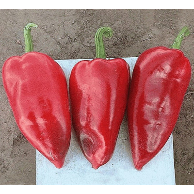 Семена - Перец сл. Козий рог, 0,25 г.