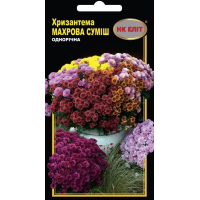 Насіння - Хризантема Махрова суміш, 0,2 г.