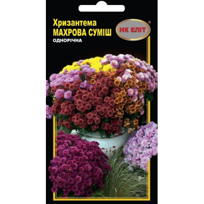 Семена - Хризантема Махровая смесь, 0,2 г.