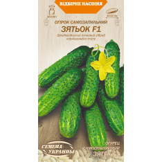 Насіння - Огірок Зятек F1, 0.25 г. Насіння - Огірок Зятек F1, 0.25 г.
