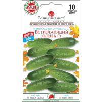 Насіння - Огірок Зустрічаючий осінь F1, 7 шт.