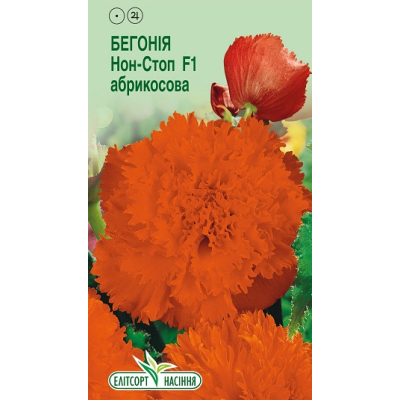 Насіння - Бегонія Нон-стоп абрикосовий F1, 5 шт.