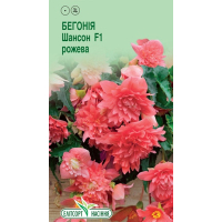 Семена - Бегония Шансон розовая F1, ампельная, 10 шт.