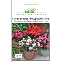 Насіння - Бегонія Бада Бум F1, суміш, вічноквітуча, Syngenta Flowers (Нідерланди), 20 шт.