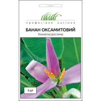 Насіння - Банан оксамитовий, Hem Zaden (Нідерланди), 3 шт.
