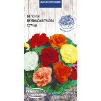 Насіння - Бегонія Великоквіткова, суміш, 10 шт.